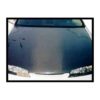 Carbon Hood HONDA PRELUDE '91-'96