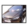 Carbon Hood PEUGEOT 206 (WITHOUT AIR INTAKE)