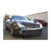 Carbon Front Lip MERCEDES-BENZ cls 55 AMG (W219)